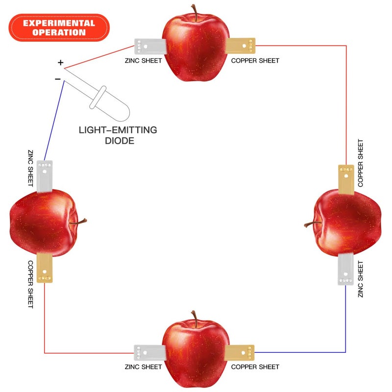 PartyKindom Fruit Battery Science Experiment Materials: 30pcs Zinc Copper Electrode Strip Rods for School Sciences Project Home Teaching Education Subject - Image 5